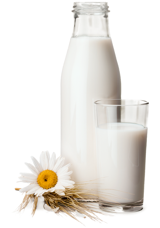 Agromax Ltd - Milk Bottle