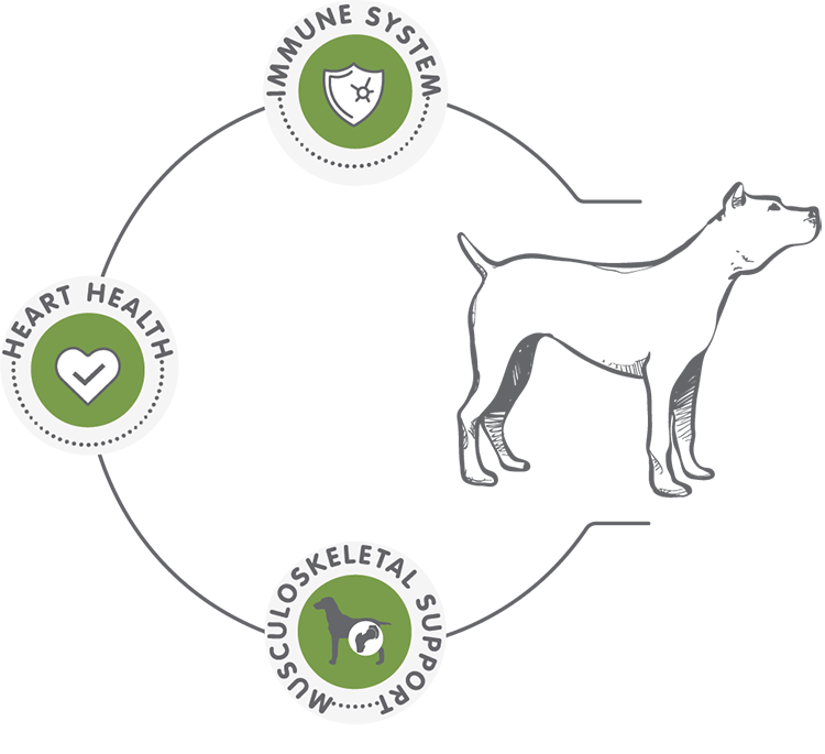 Agromax Ltd - Product, Vio Puppy Diagram